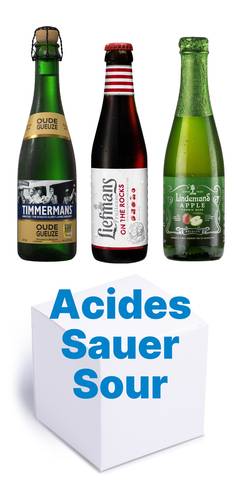 Pack découverte - 12 bières acides