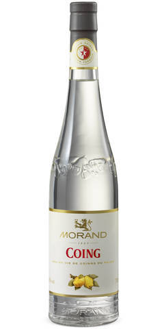Morand Coing