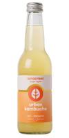 Urban Kombucha Gingembre