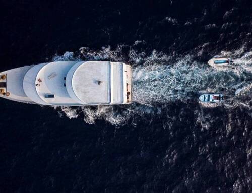 Drive In "frisch", trinkfertig