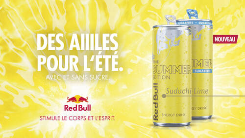 Ailes pour l'été