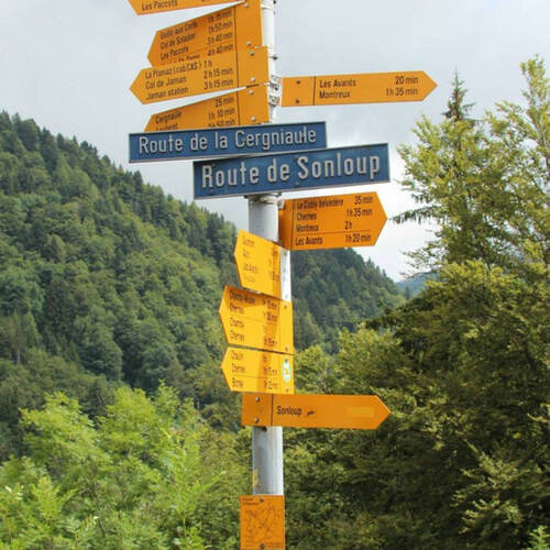 Description de l'image