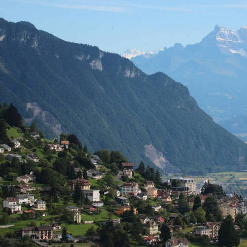 Description de l'image