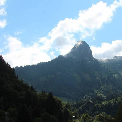 Description de l'image