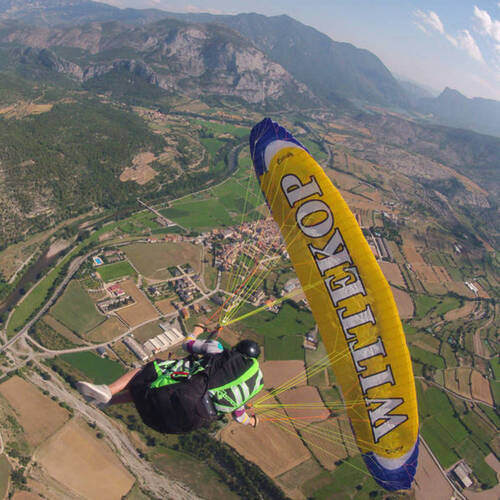 Description de l'image