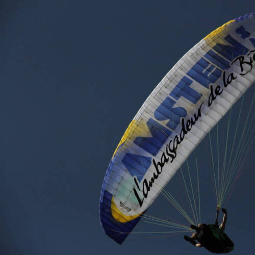 Description de l'image