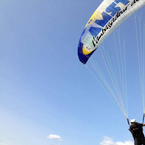 Description de l'image