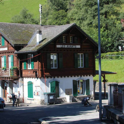 Description de l'image