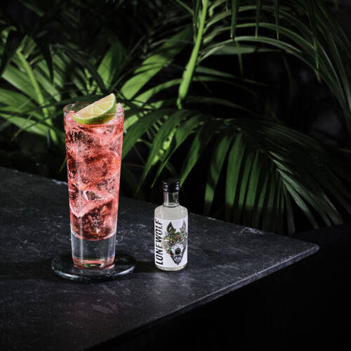 Blood Orange Blitzen