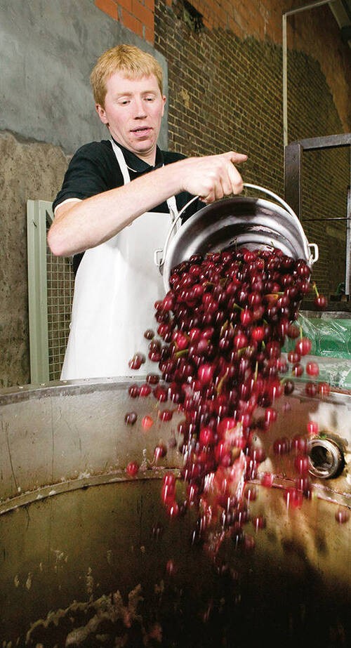 Cerise liefmans kriek